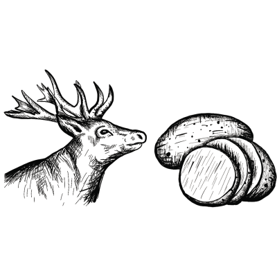 Thumbnail 5: Schnauze & Co. 6x Dosenfutter® WILD & KARTOFFEL 400g