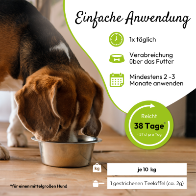 Thumbnail 7: PHA PetVet - PHA GelenkVital für Hunde & Katzen 150 g - natürliche Inhaltsstoffe plus Vitamine zur Unterstützung von Beweglichkeit & Mobilität