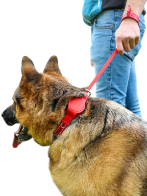 Thumbnail 1: doddle for dogs Halsband mit integrierter Leine für große Hunde rot