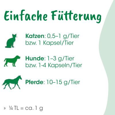 Thumbnail 5: cdVet ZytoVet forte 150 g – Natürliche Ergänzung für Zellstoffwechsel & Immunsystem