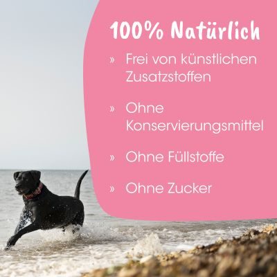 Thumbnail 3: petGelato FrostyBerry 132 g – Fruchtige Sommererfrischung für Hunde, Katzen & Pferde