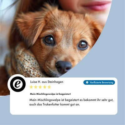 Thumbnail 3: Irish Pure Nassfutter Irisches Huhn mit Gemüse & Kelp-Alge, Junior