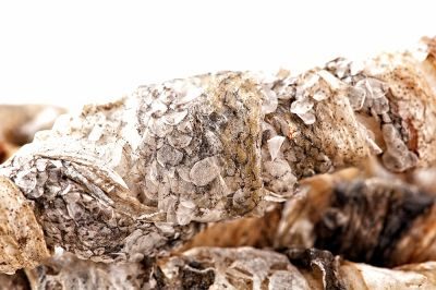 Thumbnail 3: 123… Hund dabei! Kaurolle mit Lachshaut 150g