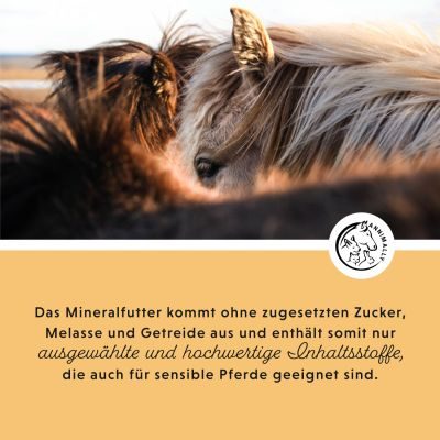 Thumbnail 8: annimally Mineralfutter Senior Vital