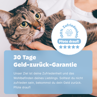 Thumbnail 5: Pezz Katzen Hauttest | Bei gereizten, juckenden oder riechenden Hautstellen