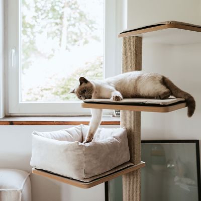 Thumbnail 5: stylecats® Kratzbaum Owen 3 Liegeflächen & Kratzfläche (L) 145 cm, weiß/grau/grau