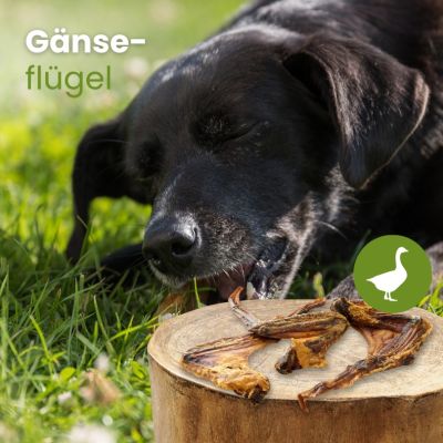 Thumbnail 2: kauartikel.com Gänse-Flügel - Hunde-Kauartikel - Hunde-Snack - Kausnack von der Gans - Leckerli
