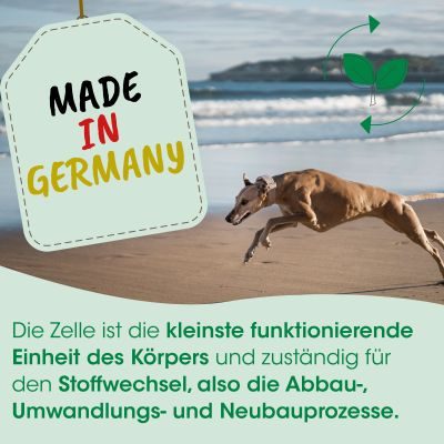 Thumbnail 4: cdVet ZytoVet forte 150 g – Natürliche Ergänzung für Zellstoffwechsel & Immunsystem