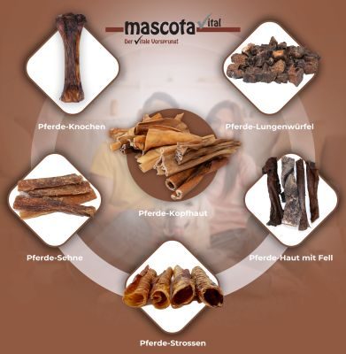 Thumbnail 7: mascota vital Pferdekopfhaut, Kauartikel für Hunde, 200 g
