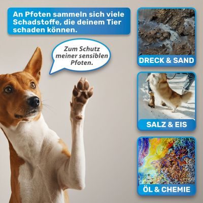 Thumbnail 9: BluePet Pfoten Pflege-Sparset: Pfotenschaum Pfotenreiniger + Pfotenbalsam, Pfotenbalsam auch als Nasenbalsam verwendbar! Reinigt & pflegt sanft + unbedenklich