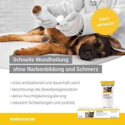 Thumbnail 5: alfavet ManukaSan für Hund, Katze und Kleintiere, natürliche pflegende Honigsalbe mit Colustrum und Manuka Honig 15 ml