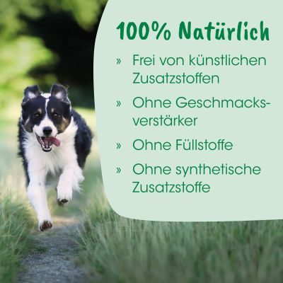 Thumbnail 3: cdVet ZytoVet forte 1 kg – Natürliche Ergänzung für Zellstoffwechsel & Immunsystem