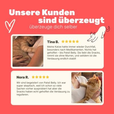 Thumbnail 9: Patsli Katze hat Durchfall? Präbiotische Snacks für gesunde Darmflora