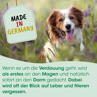 Thumbnail 3: cdVet Toxisan 50 ml – Natürliche Futterergänzung zur Unterstützung von Leber und Nieren