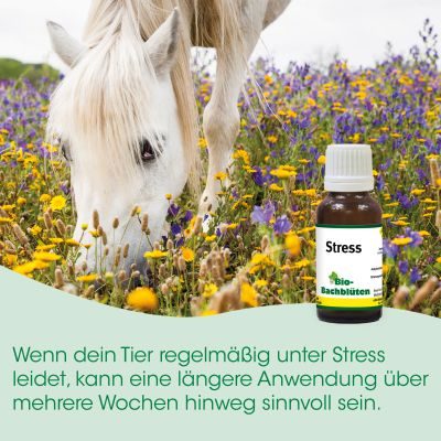 Thumbnail 1: cdVet Bio-Bachblüten Stress 20 ml – Ergänzungsfuttermittel für Hunde, Katzen & Pferde