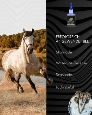 Thumbnail 4: Hoofgold BlueStuff Strahlpflegemittel - Schnelle Hilfe bei Strahlfäule