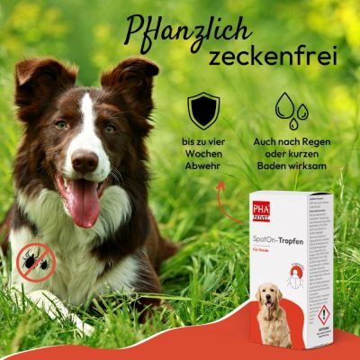 Thumbnail 1: PHA PetVet - PHA Spot-onTropfen für Hunde 2 x 2 ml - Parasitenschutz - zur äußerlichen Anwendung