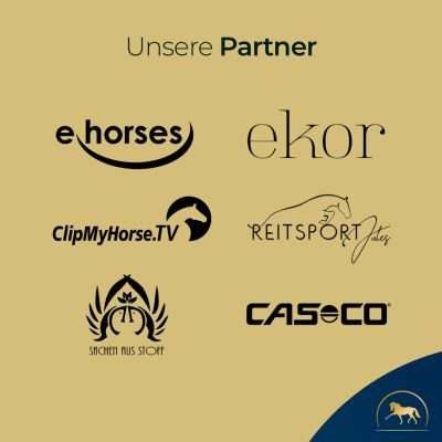 Thumbnail 4: Pferdegold Gelenke Eimer 1.5kg