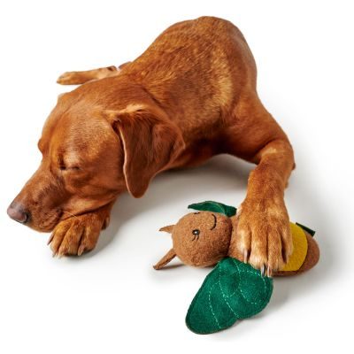 Thumbnail 9: HUNTER Hundespielzeug Florenz, Biene 29 cm