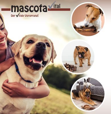 Thumbnail 3: mascota vital Pferdekopfhaut, Kauartikel für Hunde, 200 g