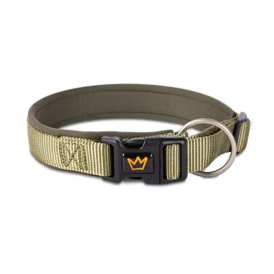 Rudelkönig Hundehalsband Bella gepolstert, Robustes Hunde Halsband