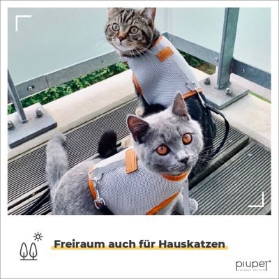 Thumbnail 6: PIUPET Katzengeschirr mit 1,2m Leine I Ausbruchsicher I Katzenleine mit Geschirr für Katzen I Grau (M)