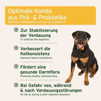 Thumbnail 3: AniForte AniForte® plus Probiotikum
