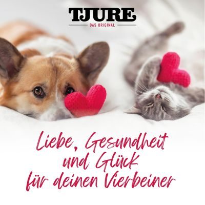 Thumbnail 3: TJURE TJURE Hund - Kalb mit Beeren 220 ml Flasche 12er Pack