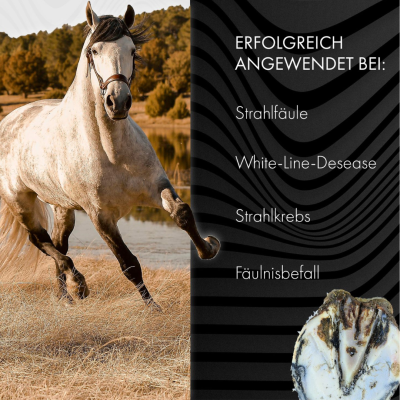 Thumbnail 8: Hoofgold HoofgoldBlueStuff Strahlpflegemittel - Schnelle Hilfe bei Strahlfäule