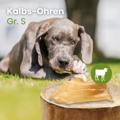 Thumbnail 3: kauartikel.com Kalbs-Ohren Gr. S - Hunde-Kauartikel - Hunde-Snack - Kausnack - Kälber-Leckerli  (Rind)