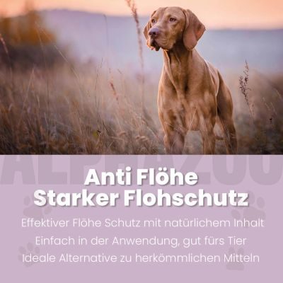 Thumbnail 7: ALPHAZOO ByeByeVloh Flohspray für Hunde