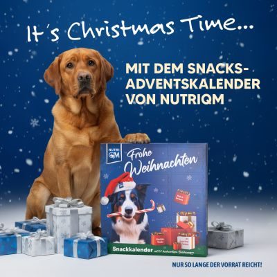 NutriQM NutriQM Hunde Adventskalender