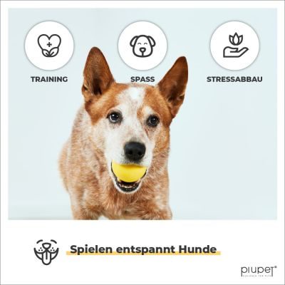 Thumbnail 1: PIUPET Hundebälle I 6,5cm Durchmesser I Inkl. Beutel zum Verstauen I 2er Ball-Set I Hundespielzeug Ball I Hundeball bissfest I Hundespielbälle
