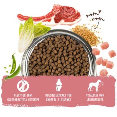 Thumbnail 3: bosch Tiernahrung HPC Mini Lamm & Reis – Trockenfutter – Immun-Komplex – 1kg