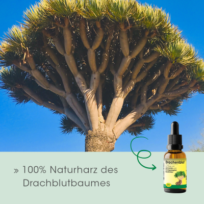 Thumbnail 3: cdVet Drachenblut 20 ml – Natürliches Harz (Sangre de Drago) zur Hautpflege bei Tieren