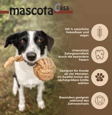 Thumbnail 5: mascota casa Cocoball Kauspielzeug für Hunde aus Kokosseil, unterstützt die Zahngesundheit, ab 20 kg