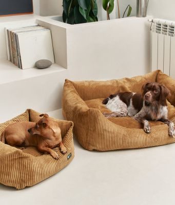 Thumbnail 8: CAFIDE Cord Hundebett, Snozy
