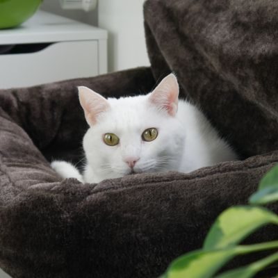 Thumbnail 10: SCHLITZOHR Heizungsliege Lucky (beige)