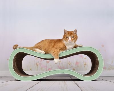 Thumbnail 4: cat-on SINGHA L Design Katzenmöbel, hemlock mintgrün (006h)