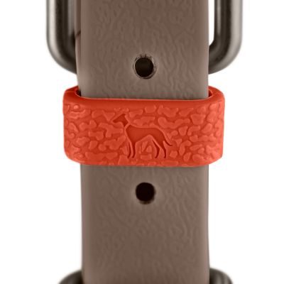 Thumbnail 4: HUNTER Halsband Havanna Mini XS-S (35), taupe/rauchblau