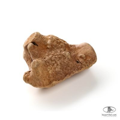 Thumbnail 2: kauartikel.com Ayka Kauwurzel - Hunde-Kauartikel - Hunde-Snack - Kausnack - Leckerli - Vegan