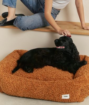 Thumbnail 7: CAFIDE Teddy-Hundebett, Snozy