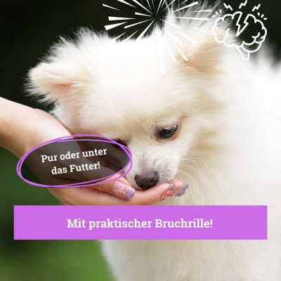 Thumbnail 3: BeG Buddy Coolness Drops für Hunde, natürliche Beruhigung Hund