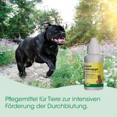 Thumbnail 4: cdVet Durchblutungsgel 100 g – natürliche Pflege zur Hautdurchblutung