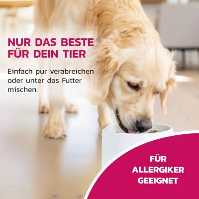 Thumbnail 3: LiquidoCare Appetitanreger für den Hund - hochkalorisches Tonikum mit Vitaminen & Mineralstoffen – für schlecht fressende, untergewichtige Hunde 180 ml