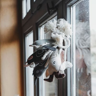 Thumbnail 4: HUNTER Hundespielzeug Nebraska Pferd mit Tau 25 cm