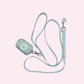 SimplePets Hundeleine light Set