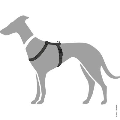 Thumbnail 5: HUNTER Geschirr Vario Rapid XS-S, schwarz