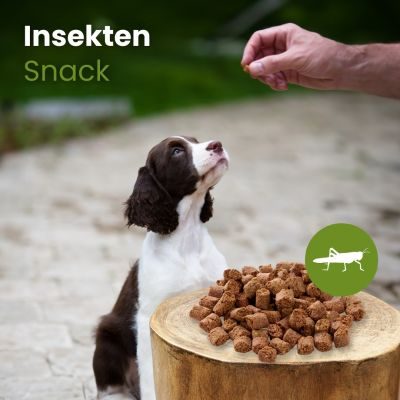Thumbnail 3: kauartikel.com Insekten Snack - Hunde-Kauartikel - Hunde-Snack - Kausnack - Leckerli