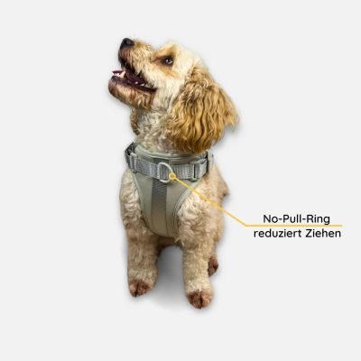 Thumbnail 6: Neo Animal Anti-Zug Hundegeschirr Pura - Hellgrau / XS